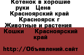 Котенок в хорошие руки › Цена ­ 10 - Красноярский край, Красноярск г. Животные и растения » Кошки   . Красноярский край